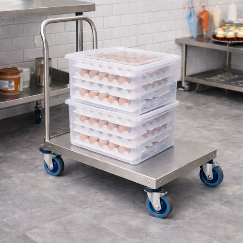Boîtes à oeufs empilables et transparentes