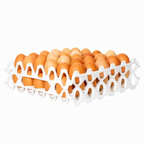 Plateaux alvéolés pour stockage des oeufs en toute sécurité et hygiène